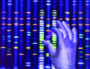 Tech Talk: Investigative Genetic Genealogy - Police Chief Magazine